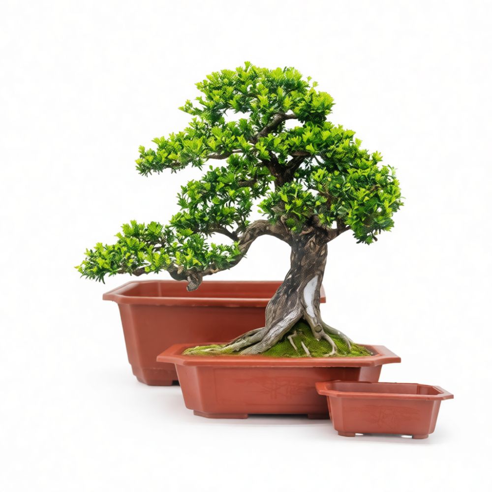 Bonsai Garden Display - Decorative Rectangular Plastic Bonsai Pot Flower