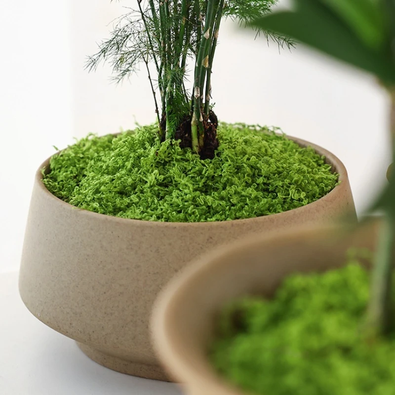 1Pc Artificial Moss Turf Fake  - Bonsai Repotting Mat ulasan dan harga