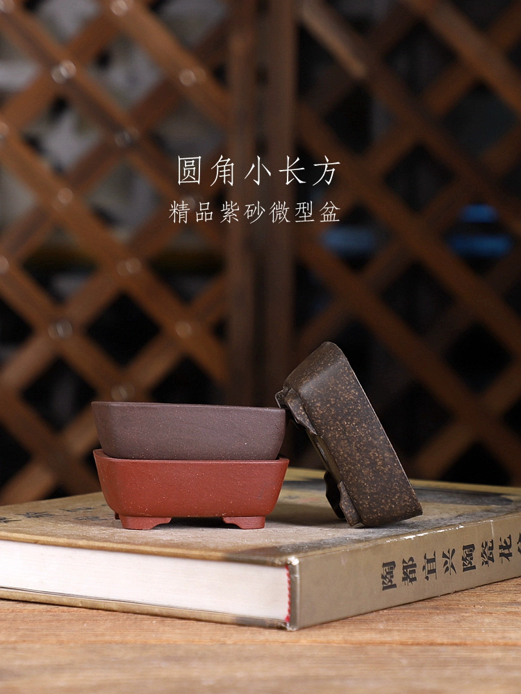 Purple Sand Round Angle Rectan - Bonsai Garden With Sand ulasan dan harga