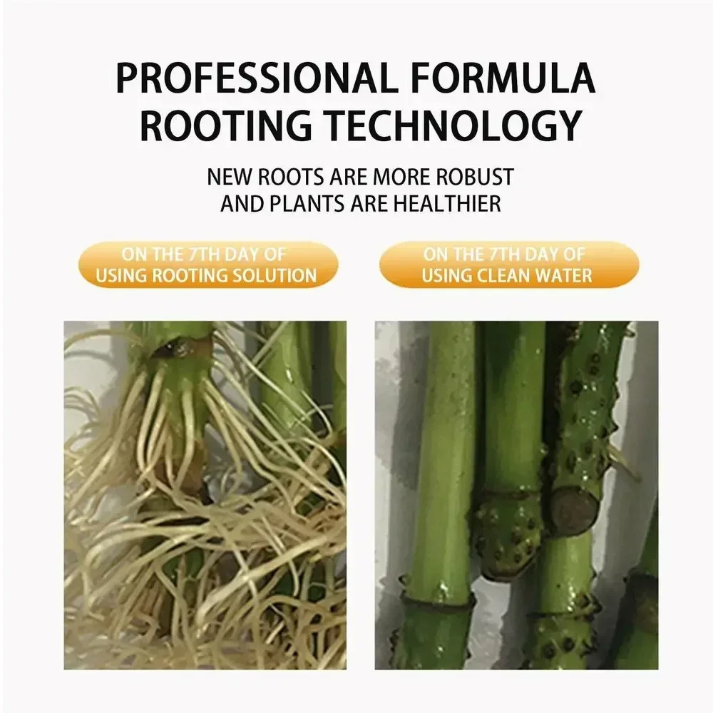 1Pcs Fast Rooting Stimulator P - Bonsai Soil Akadama ulasan dan harga