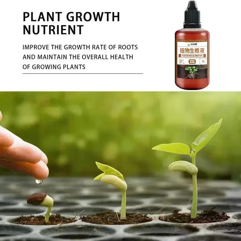 1Pcs Fast Rooting Stimulator P - Bonsai Soil Akadama ulasan dan harga