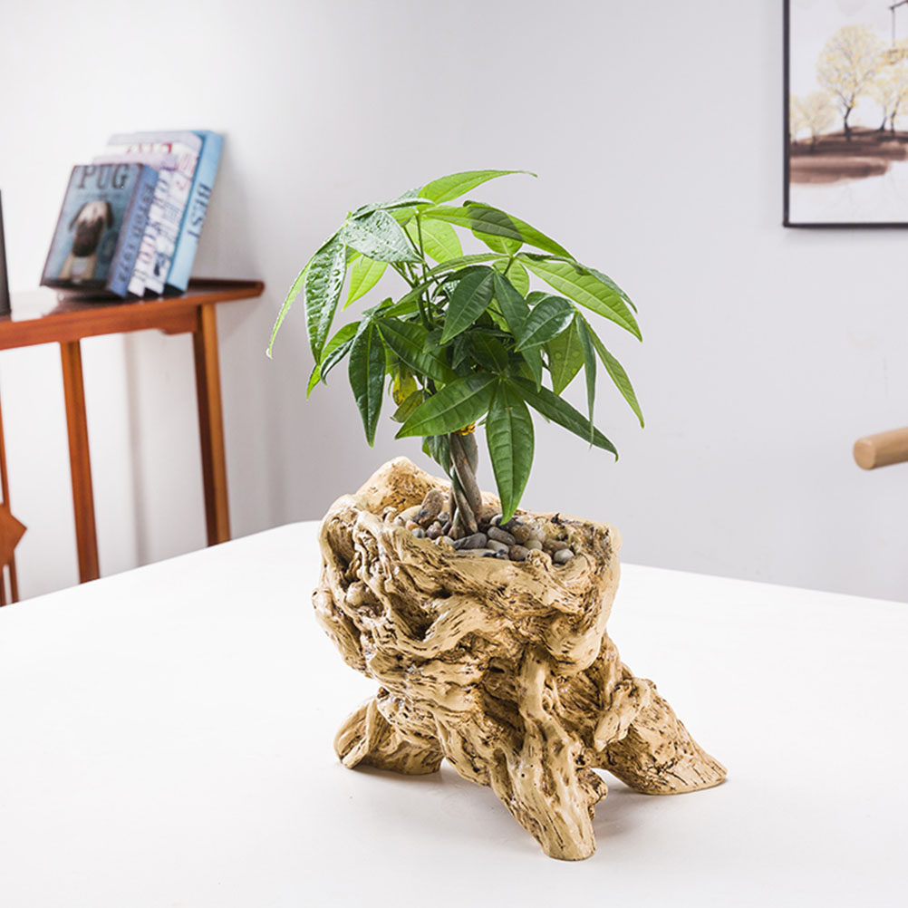 Tree Root Shaped Flower Pot De - Bonsai Garden Display ulasan dan harga