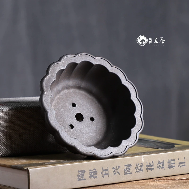 Ceramic Chrysanthemum Shape Fl - Bonsai Garden With Sand ulasan dan harga