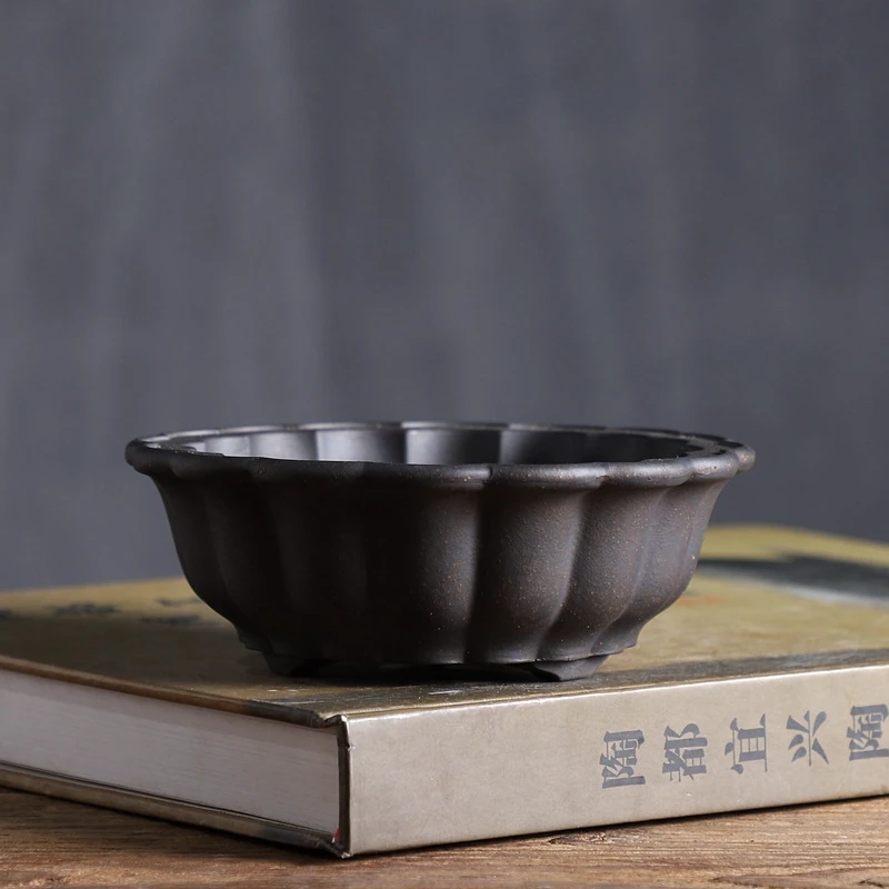 Ceramic Chrysanthemum Shape Fl - Bonsai Garden With Sand ulasan dan harga