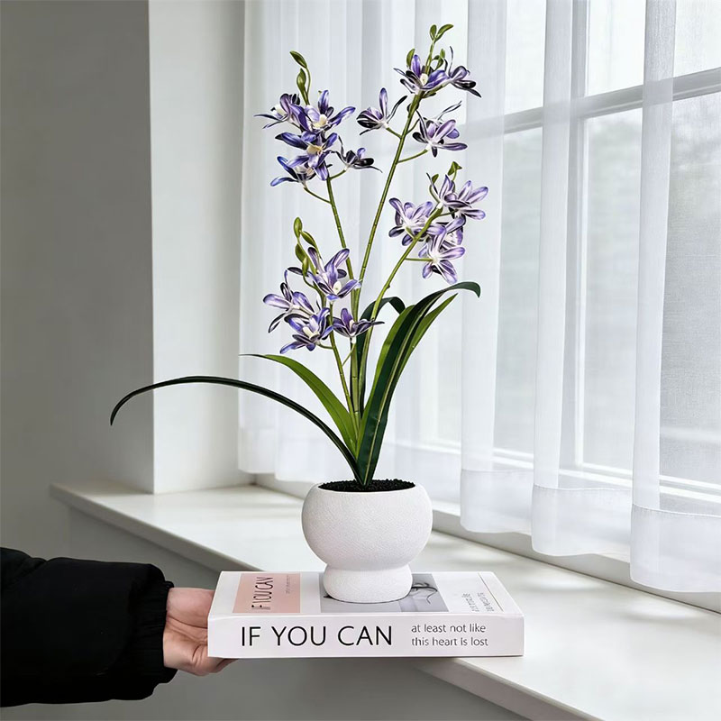 New Jumping Orchid Black Sand  - Bonsai Garden With Sand ulasan dan harga