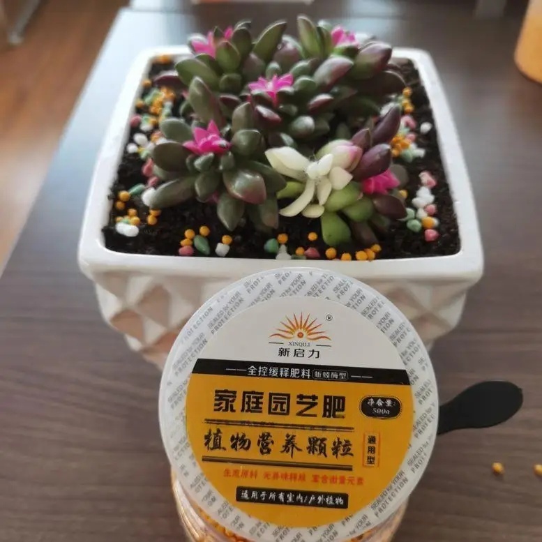 500g General-purpose Npk Compo - Bonsai Soil Akadama ulasan dan harga