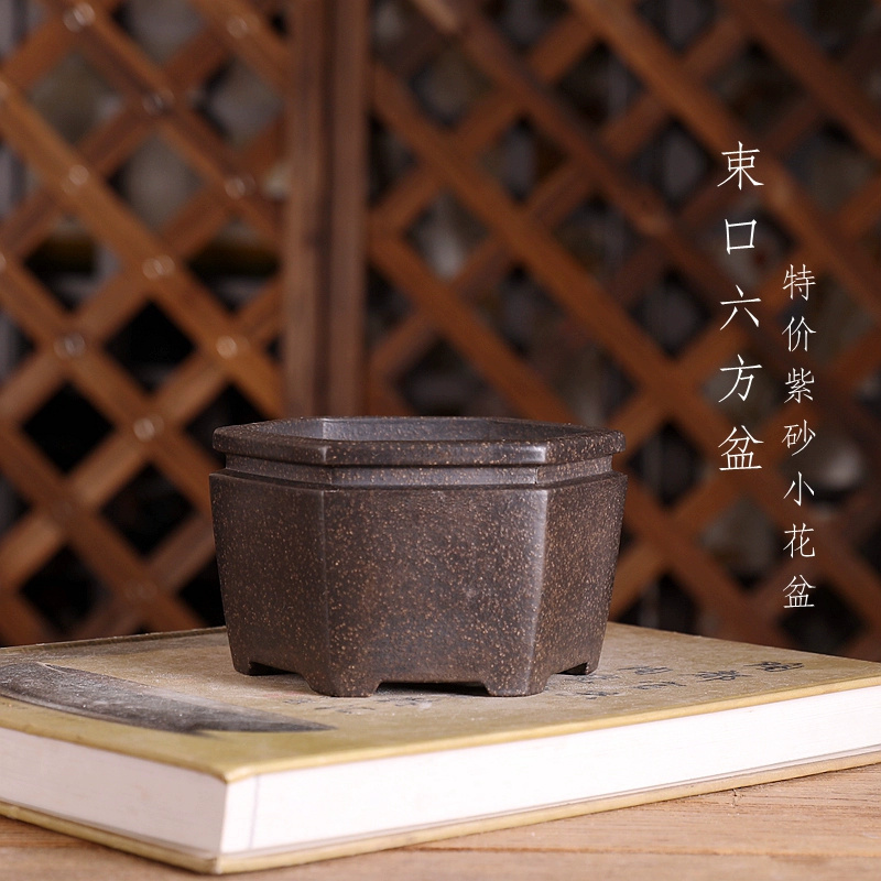 Hexagon Bonsai Pot, Purple San - Bonsai Garden With Sand ulasan dan harga