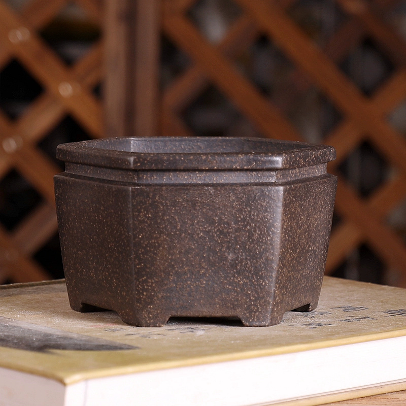 Hexagon Bonsai Pot, Purple San - Bonsai Garden With Sand ulasan dan harga