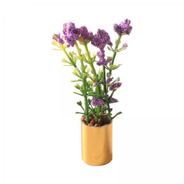 Miniature Potted Plant Ornamen - Bonsai Garden Display ulasan dan harga
