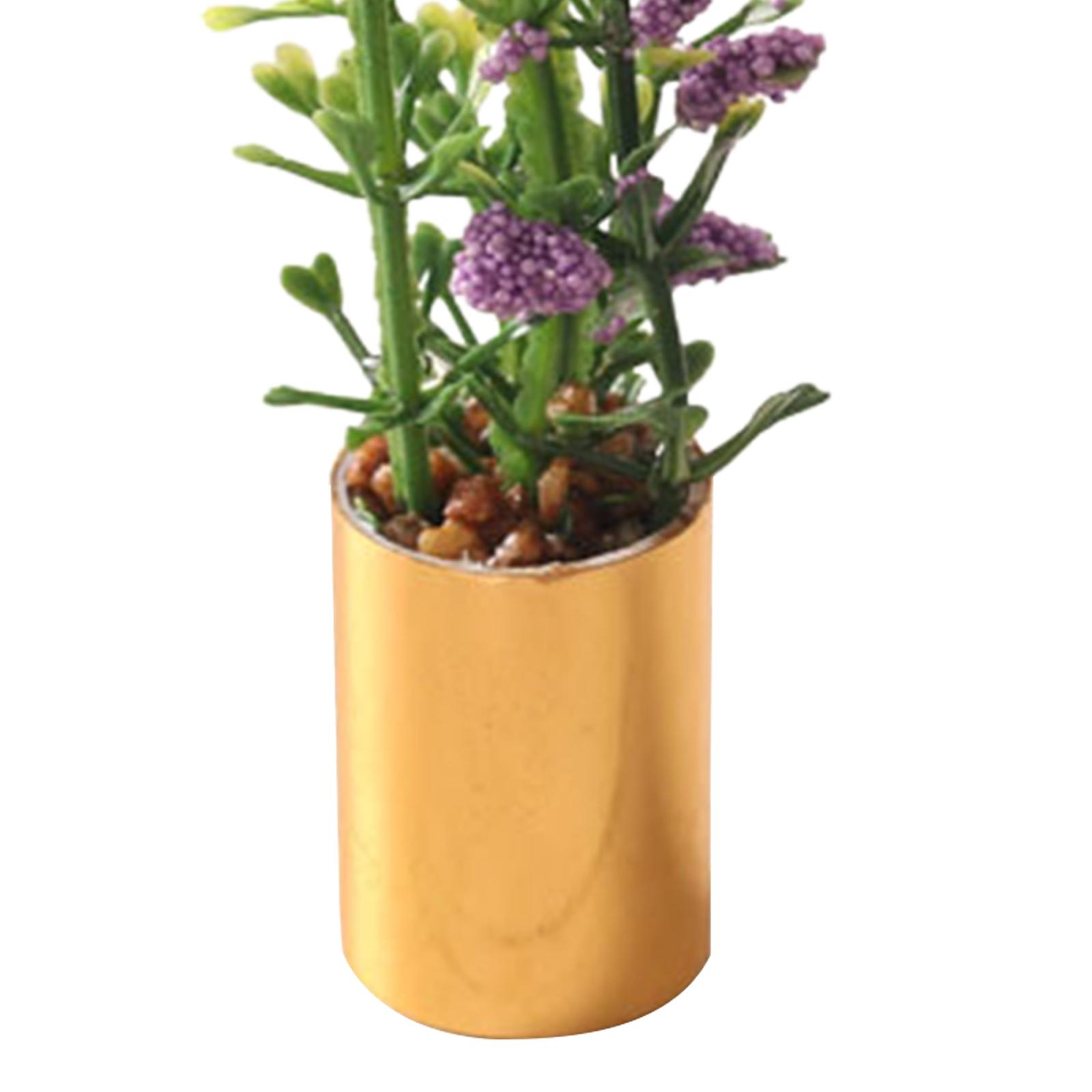 Miniature Potted Plant Ornamen - Bonsai Garden Display ulasan dan harga