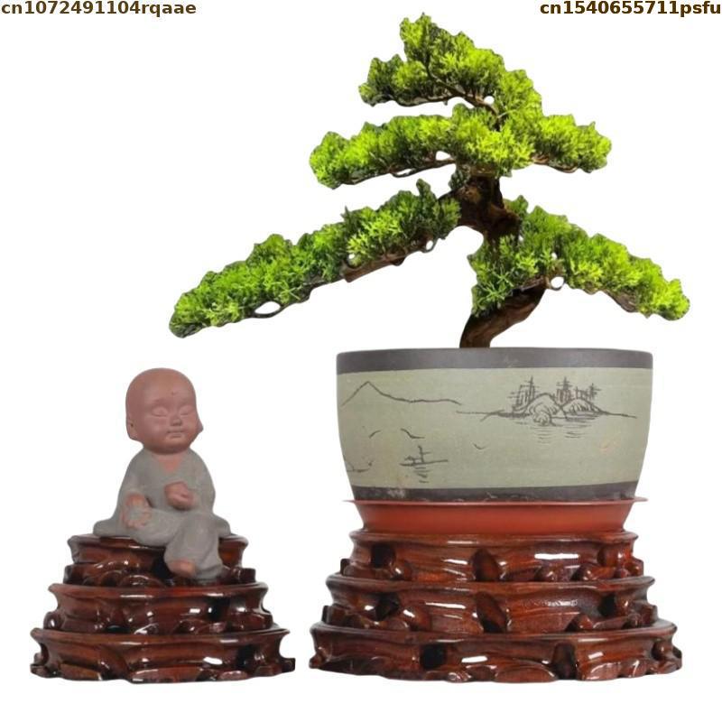 6-30cm Diameter Standing Flowe - Bonsai Garden Display ulasan dan harga