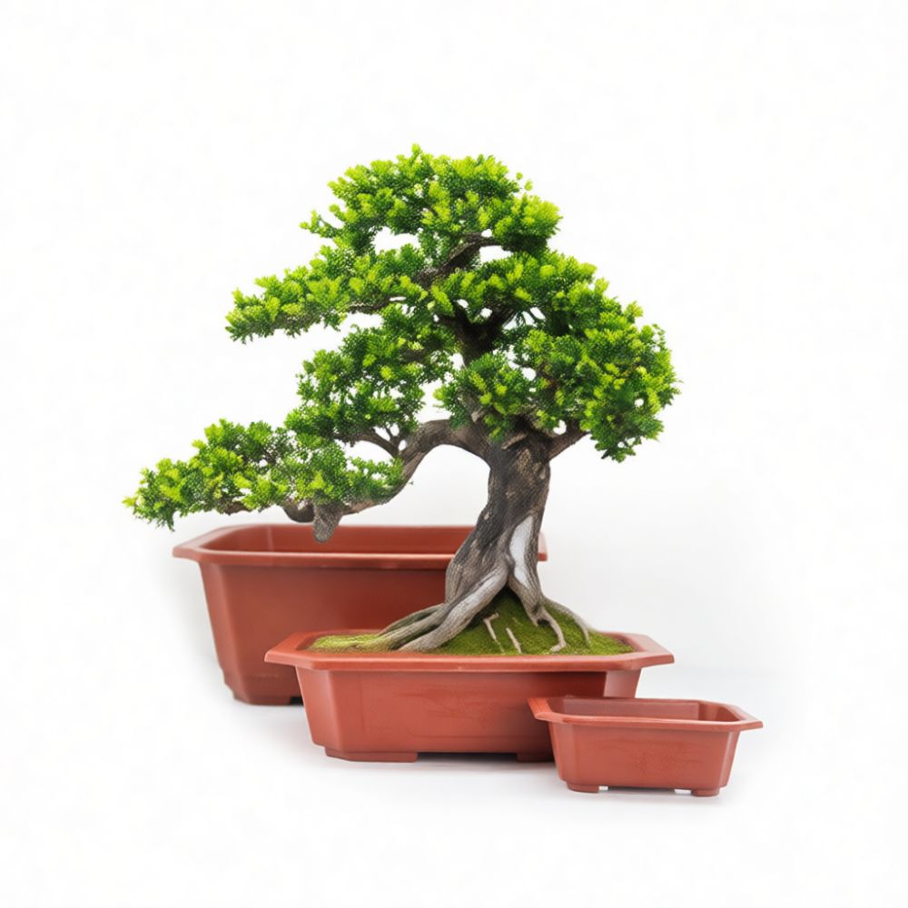Decorative Rectangular Plastic - Bonsai Garden Display ulasan dan harga